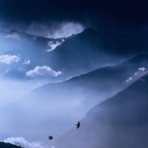 photographie-montagnes-oiseaux-volant-brume