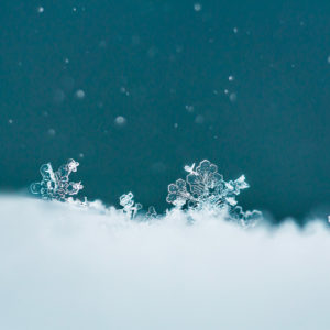 photographe-macro-flocon-de-neige-hiver-givre-annecy